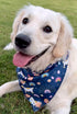 Pastel Meadows Autumn Dog Bandana - Pet Shop | Wag + Tail