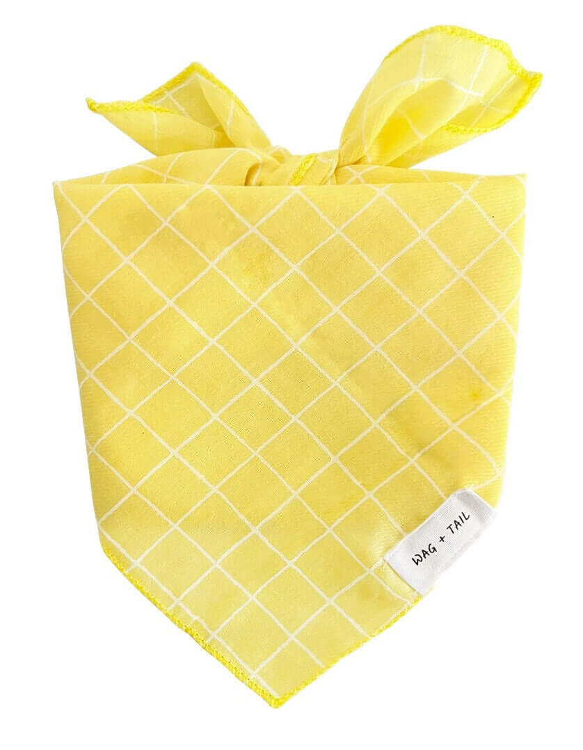 Lightweight tie-on striped pet scarf in sunny yellow tones for everyday wear