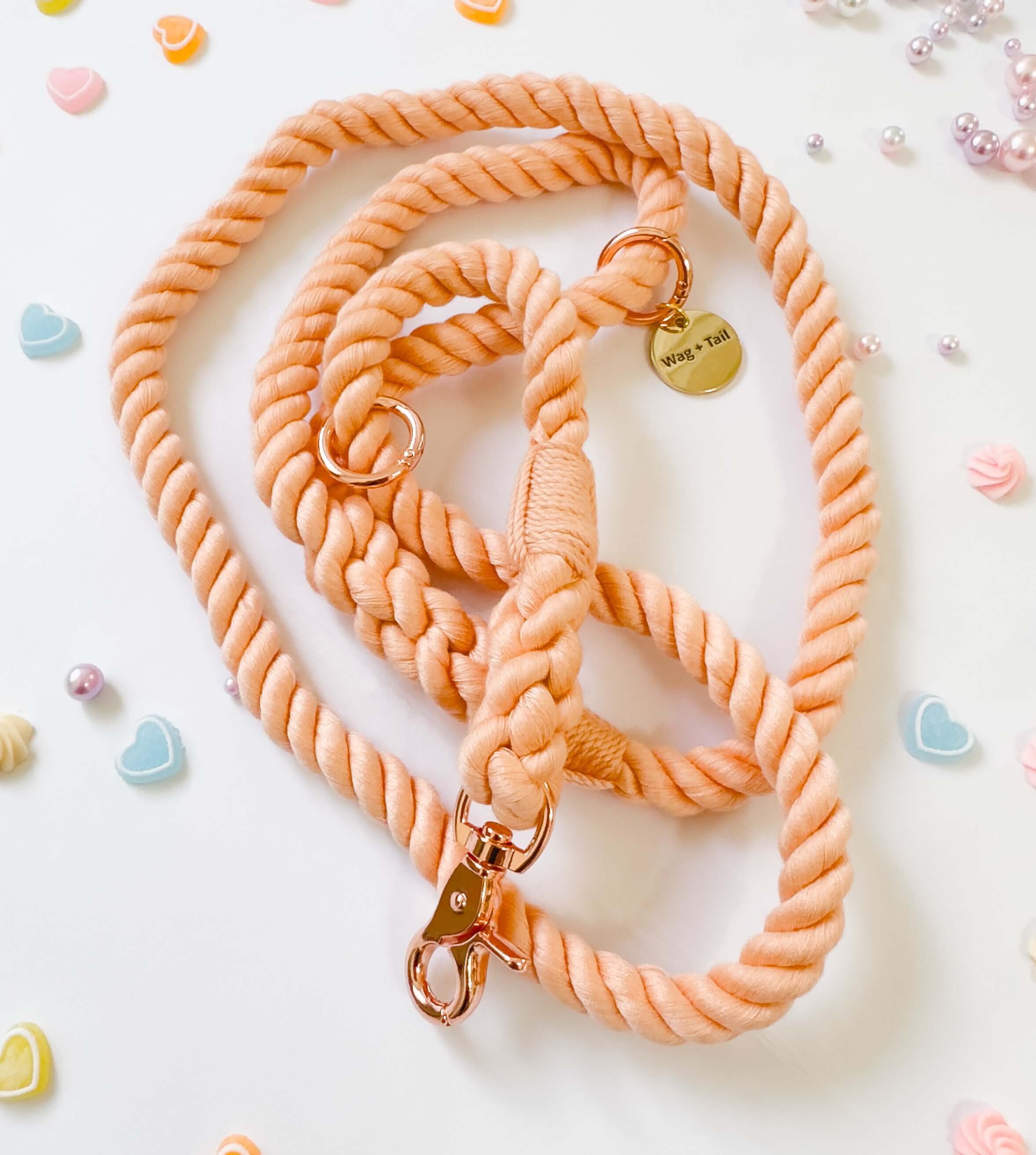 Blushing Coral Dog Rope Leash - Stylish and Durable Pet Accessory by Wag + Tail