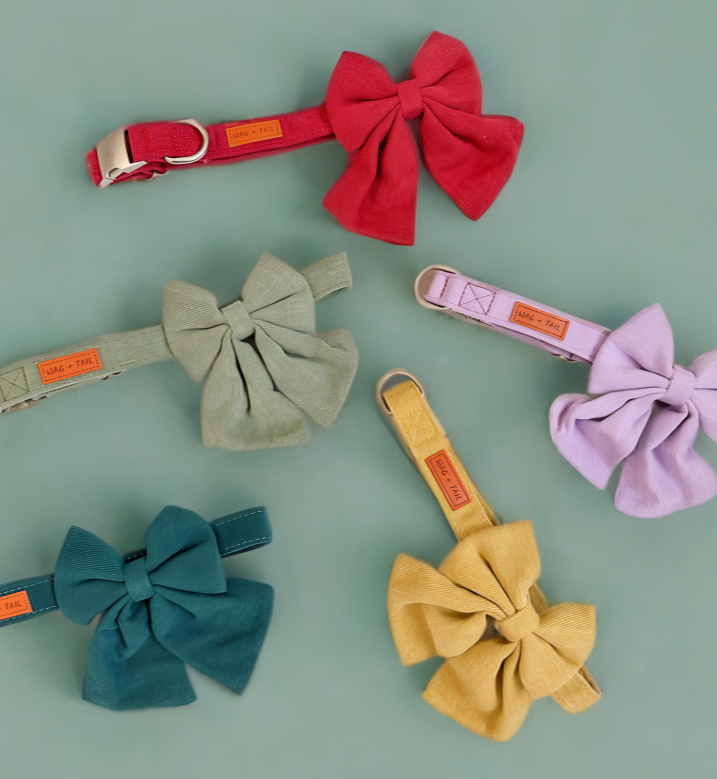 Dog Bow Tie Collars - Stylish Collars From Wag + Tail 