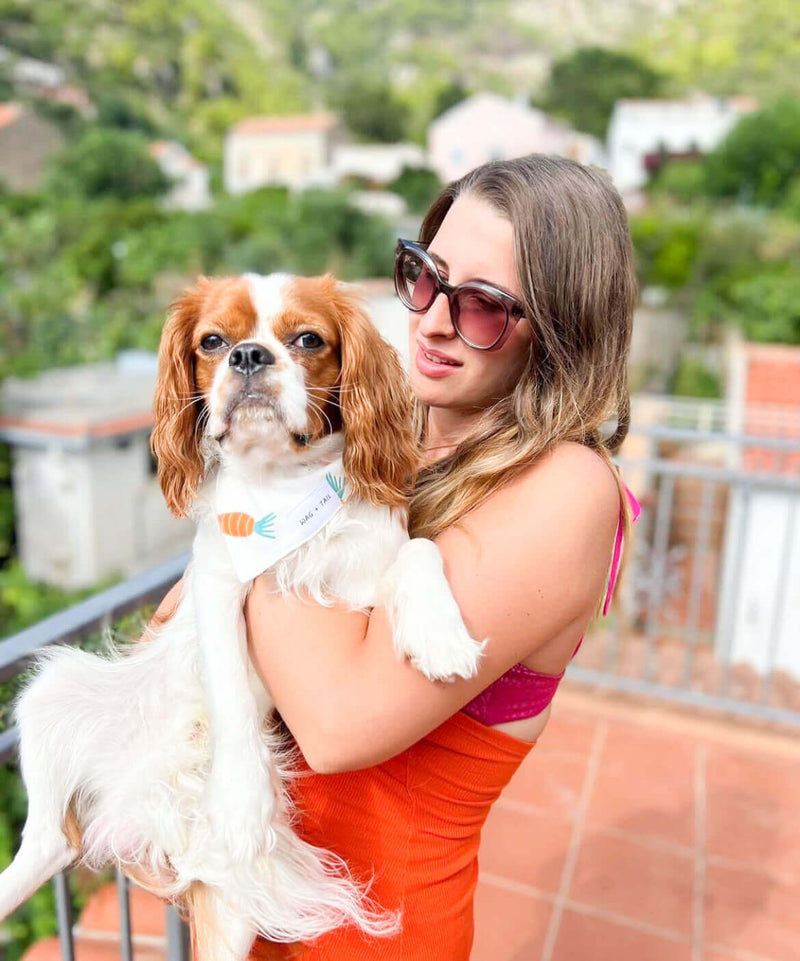 Dog Wearing Carrot Pet Bandana in Summer 