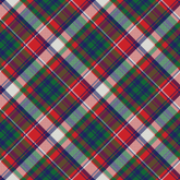 Festive Dog Leash - Elevate Your Pet&