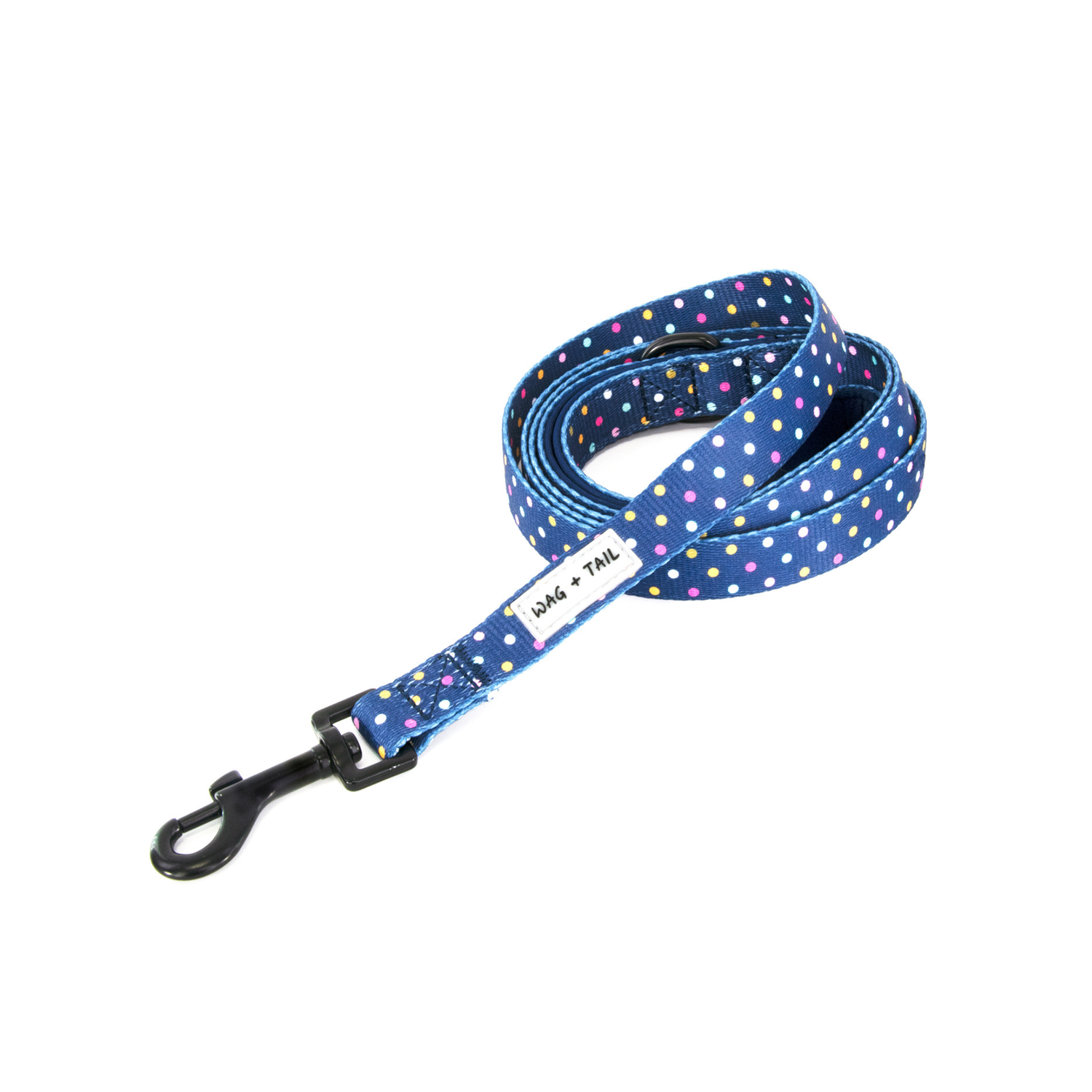 Confetti Cannon Durable Dog Leashes