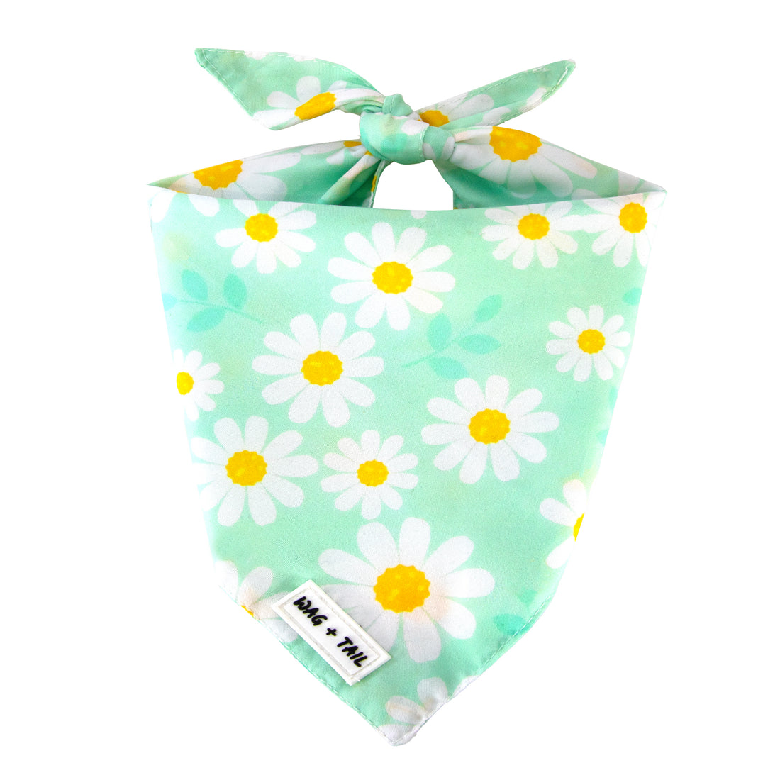 Floral Wanderlust Reversible Dog Bandana - Perfect For Spring 