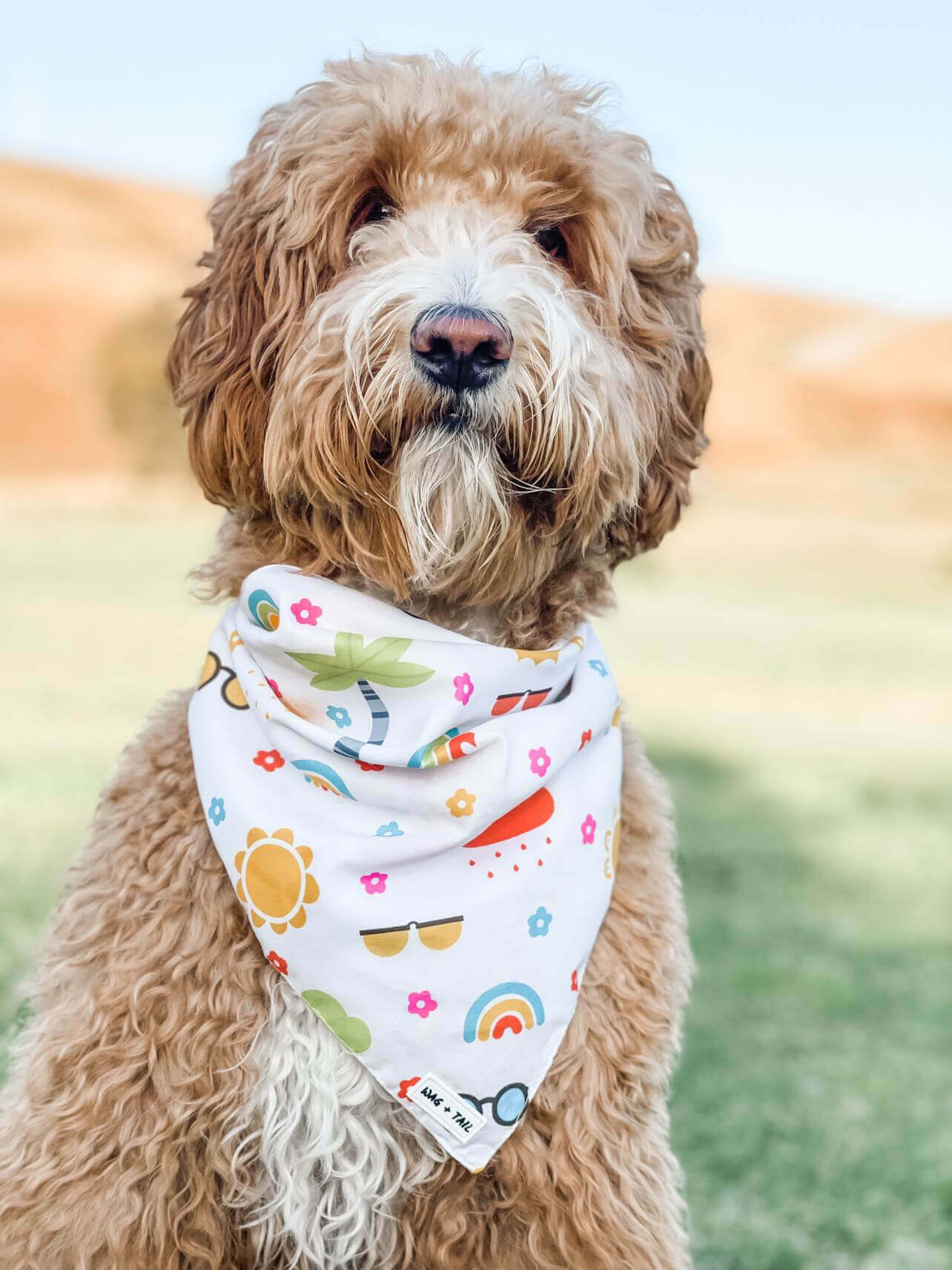 Dog Styling Holiday in the Summer Dog Bandana - Dog Apparel | Wag + Tail 