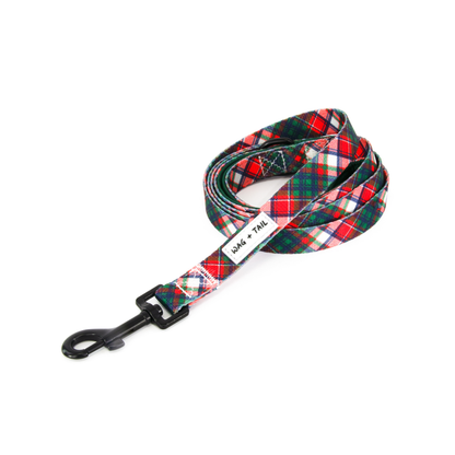 Pawsitively Festive Durable Dog Leashes