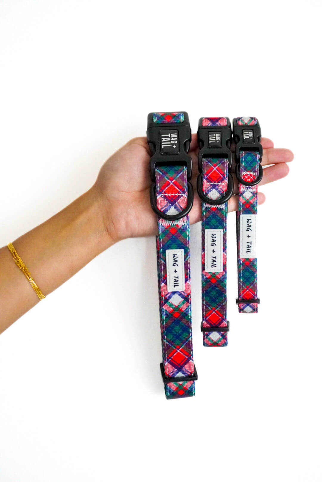 Pawsitively Dog Collar - Perfect for Holiday Season