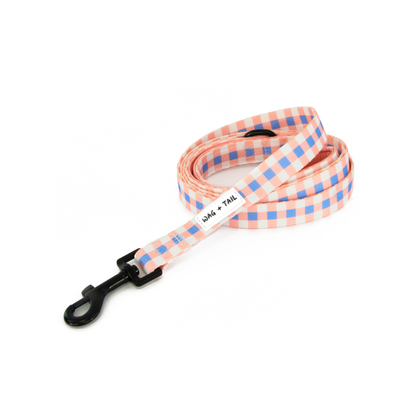 Pretty In Plaid Durable Dog Leashes 