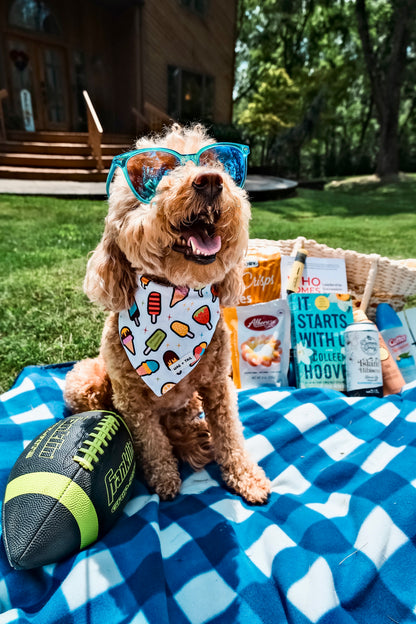 Reversible Dog Bandanas - Sweet Scoop