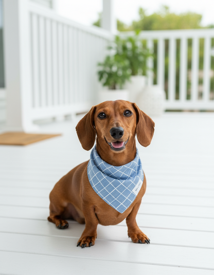 Wag + Tail Aqua Stripe dog scarf tied around a dog’s neck with a fresh striped design