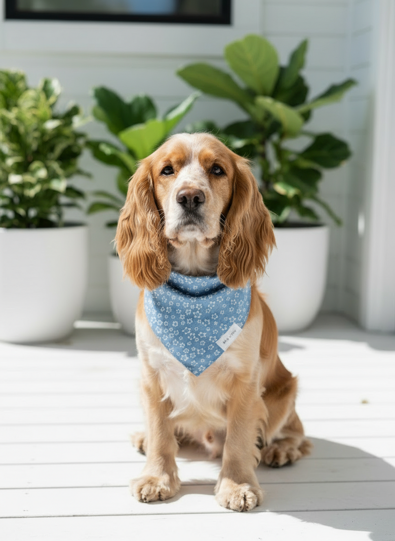Blue Blossom elegant dog scarf offering a soft floral look with comfortable drape