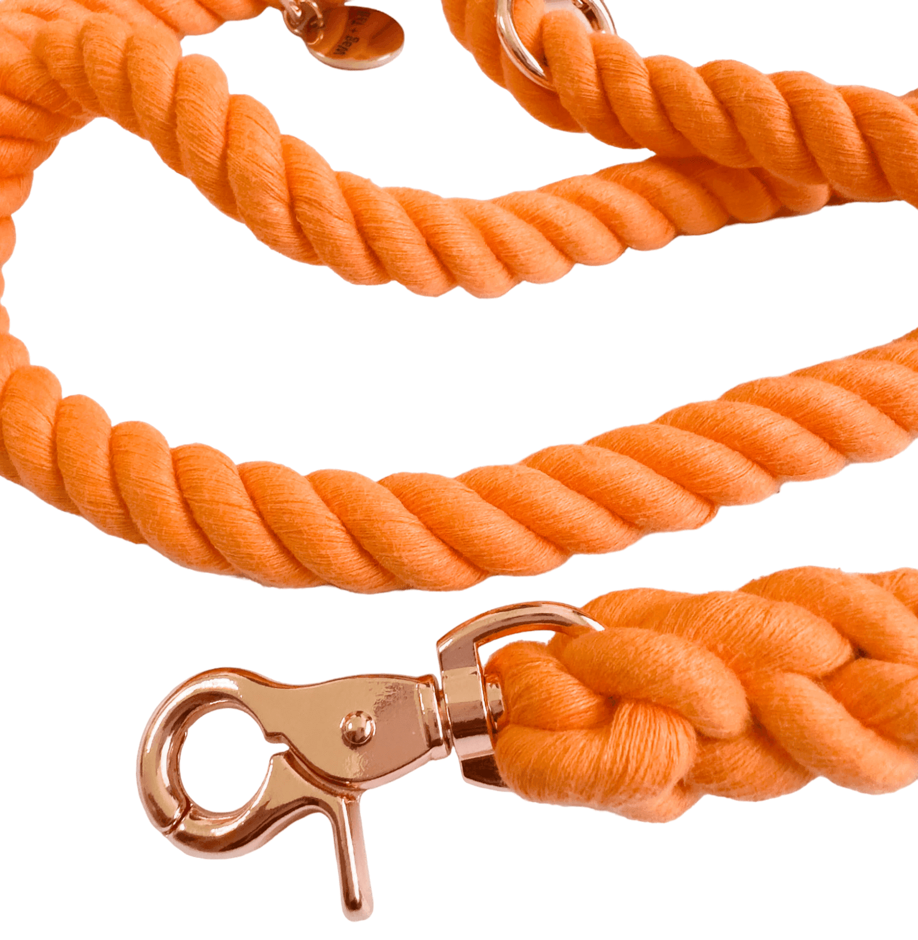 Bright Orange Dog Rope Leash for Outdoor Activities | Strong and Reliable Pet Leash | Wag + Tail