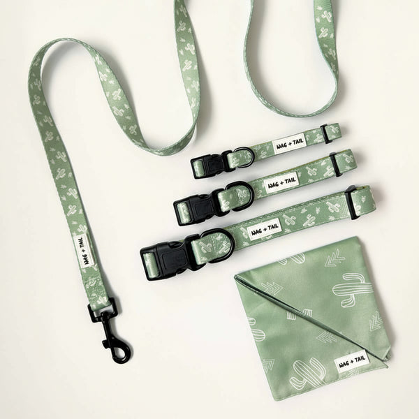 Prickly Paws Collection