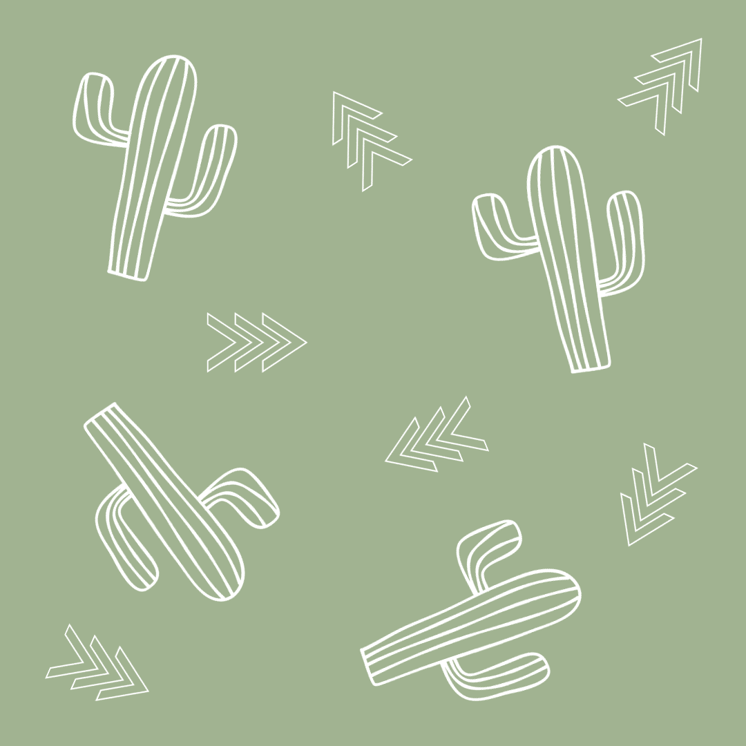 Stylish green cactus print dog collar for small and large dogs