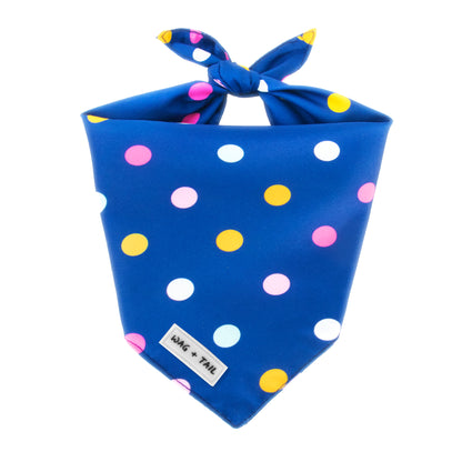 Cute confetti patterned dog bandana for small and large dogs