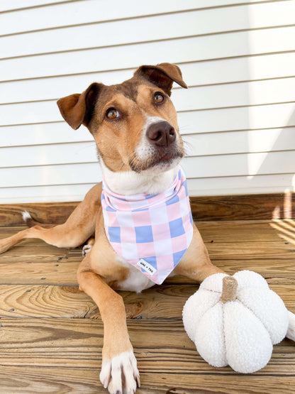 Charm Your Pup with the Autumn Dog Bandana from Wag + Tail - A Stylish Fall Accessory for Trendy Dogs!