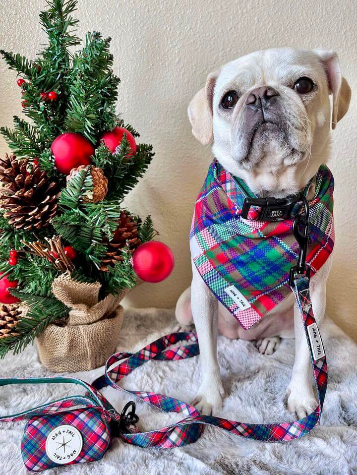 Festive Dog Bandana from Wag + Tail&