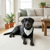 Frosted Pines reversible dog bandana with pine print