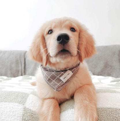 Dog Scarf Midnight Stripe – Wag Tail1