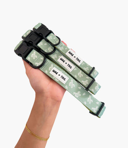 Soft and durable cactus dog collar for everyday wear