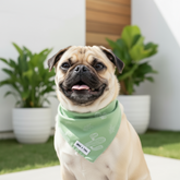 Wag + Tail Prickly Paws reversible dog bandana with playful cactus pattern for stylish pets