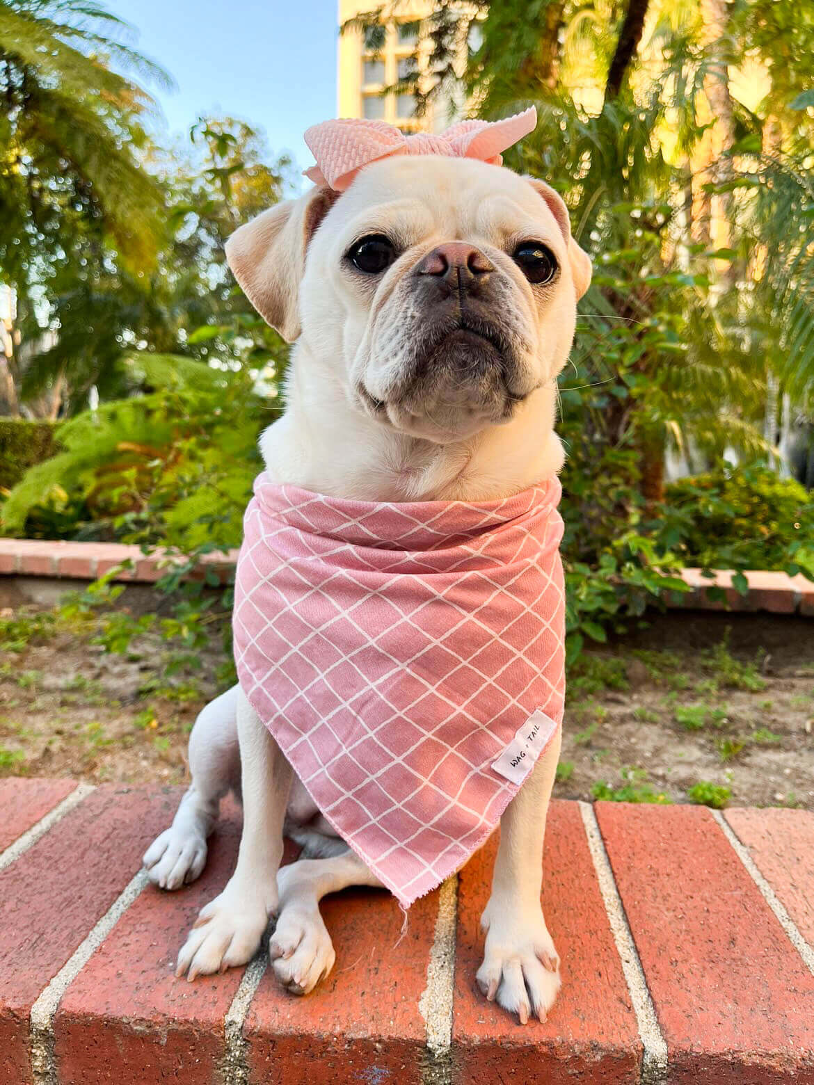 Flamingo Pink Striped Dog Bandana - Perfect Accessory for Your Fashionable Pup - Wag + Tail