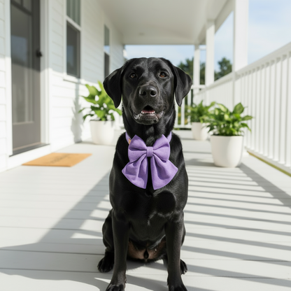 Wag + Tail Sweet Lavender Luxe bow tie dog collar in soft pastel purple for a gentle elegant look