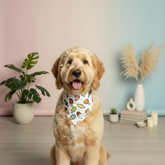 Dog wearing a colorful bandana sitting on a wooden floor with decorative plants and items in the background.