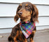 Cozy Holiday Bandana for Dogs - Winter Dog Apparel | Wag + Tail