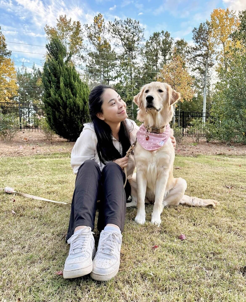 Pup Wearing Pink Bubble Dog Scarf - Best Sellers 