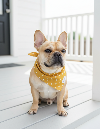 Sunshine Spot playful dog scarf featuring a happy bright print for stylish pups