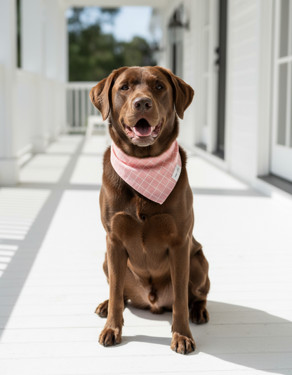 Watermelon Stripe playful dog scarf offering a cheerful, colorful summer look