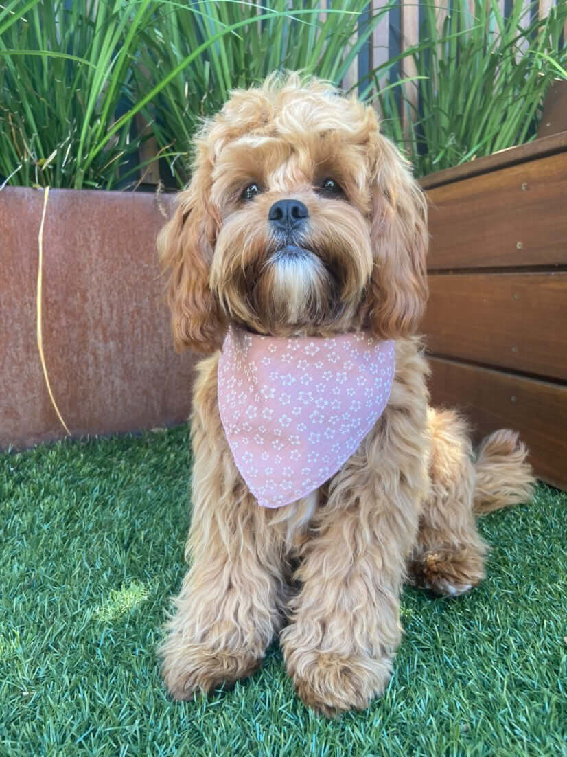 Pink Floral Dog Bandana (Reversible) | Wag + Tail 