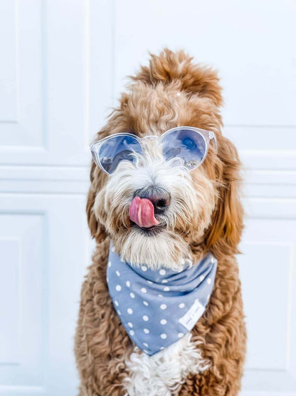 Create the Perfect Look for Your Pup with Wag + Tail&