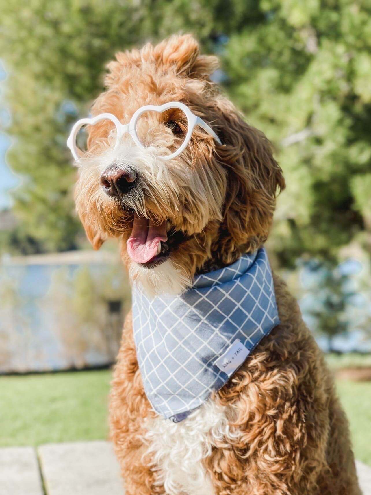 Get Your Pup Ready for Any Occasion with Our Reversible Blue Striped Dog Bandana | Wag + Tail