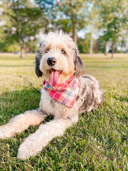 Dog Wearing Elegant Pink Plaid Flannel Dog Bandana | Wag + Tail 