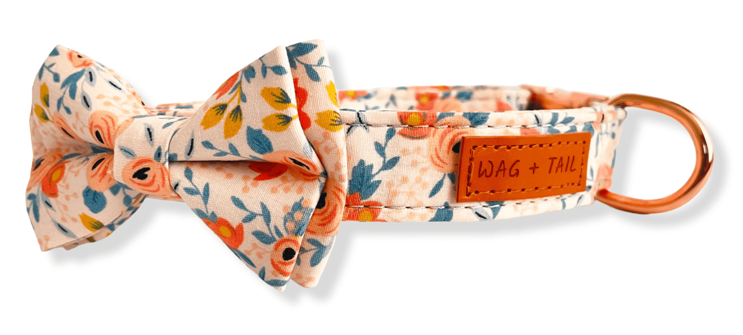 Stylish and Trendy Bowtie Collar for Dogs from Wag + Tail