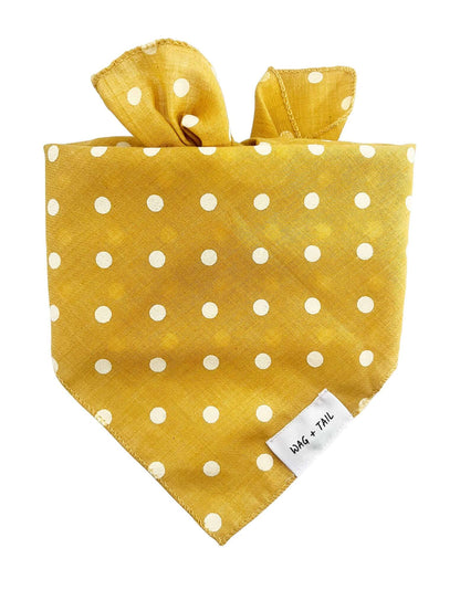 Lightweight tie-on spotted pet scarf in cheerful sunshine tones for everyday style