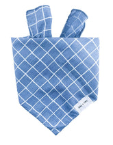 Aqua Stripe dog scarf with a soft drape and playful summer-inspired pattern