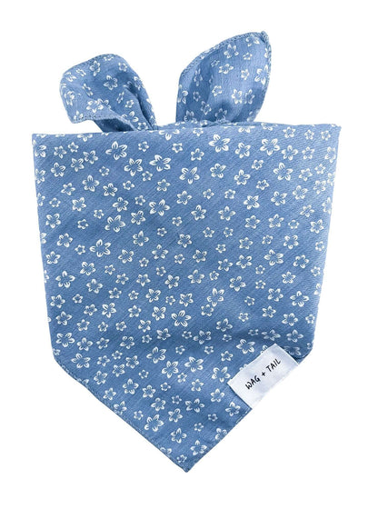 Wag + Tail Blue Blossom dog scarf with a soft blue floral pattern tied around a dog’s neck